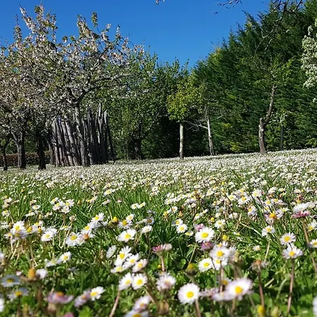 Bed and breakfast D'hotes Domaine De La Brette
